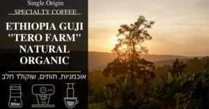פולי קפה קלוי מאתיופיה - אתיופיה גוג'י נטורל - Portofino-coffee.com